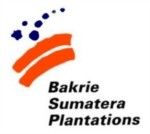 Gambar PT Bakrie Sumatera Plantations Tbk Posisi Infrastructure & Workshop Section Head