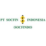 Gambar PT Socfin Indonesia Posisi DATA ANALYST