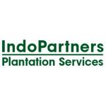 Gambar PT Indo Partners Plantation Services Posisi Sr. Financial Controller